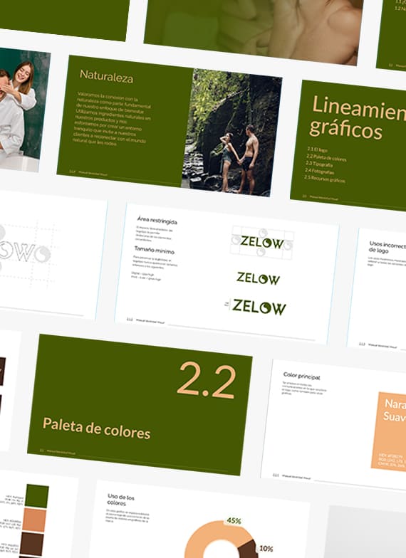 MiniaturaServicioWeb_Branding