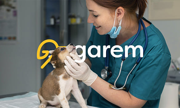 MiniaturaWebPortafolio_Garem